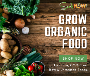 Grow Your Own Organic Food